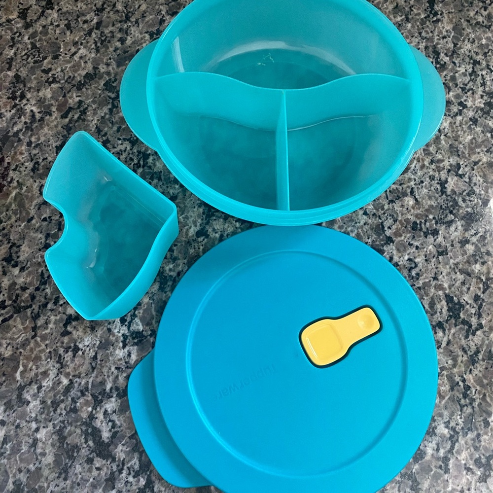 Tupperware Crystal wave 10” Divided Food Storage Container